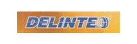 Delinte logo